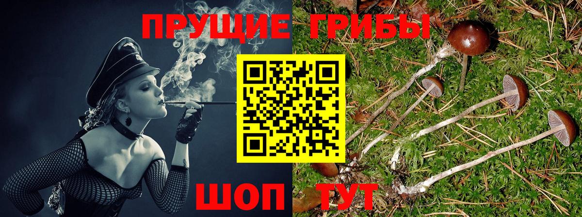 Тихвин  Псилоцибиновые грибы ЛСД  что такое наркотик  Вход с VPN 