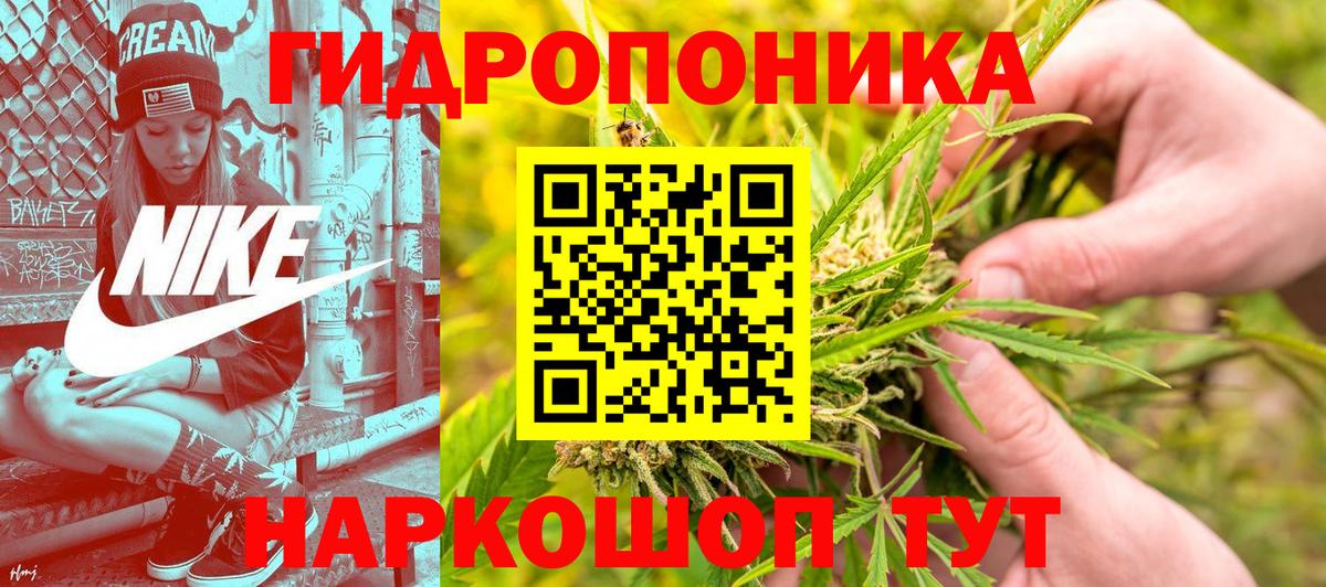 Тихвин  Бошки Шишки план  Вход с VPN  Бошки Шишки OG Kush  Бошки марихуана White Widow 